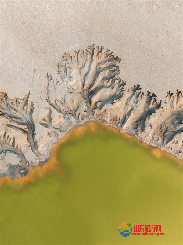 640 (2).png
