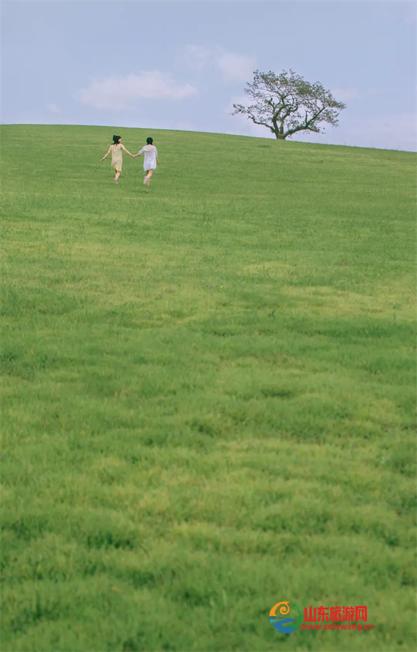 640 (5).png