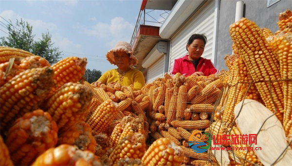 屏幕截图 2024-10-09 201443.png