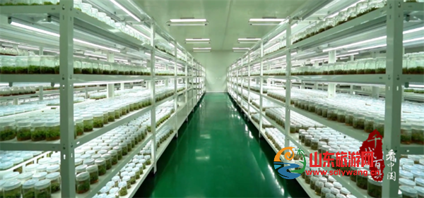 屏幕截图 2024-10-10 114655.png