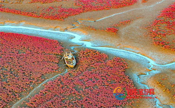 屏幕截图 2024-10-26 130239.png