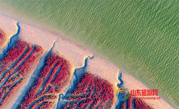 屏幕截图 2024-10-26 130257.png