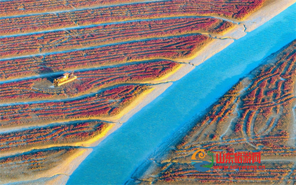 屏幕截图 2024-10-26 130333.png