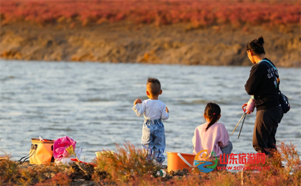 屏幕截图 2024-10-26 130350.png