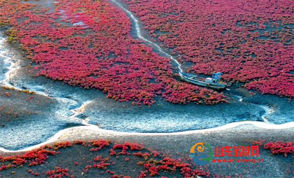 屏幕截图 2024-10-26 130409.png