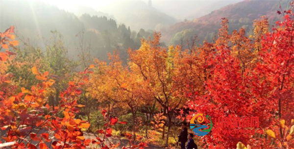 屏幕截图 2024-10-28 144424.png