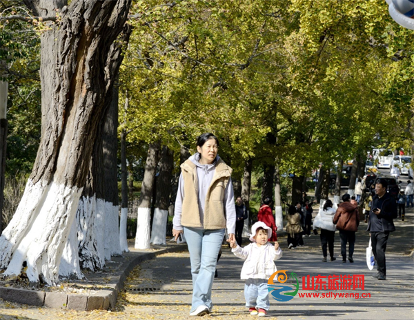屏幕截图 2024-11-07 190559.png