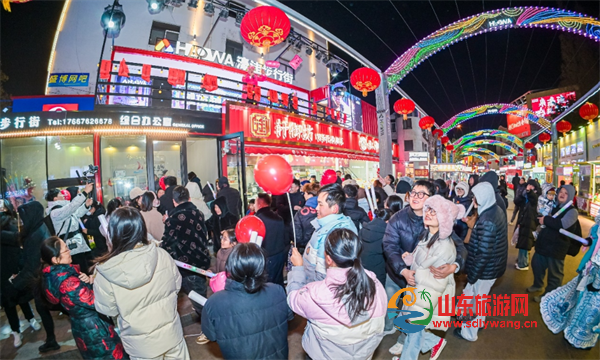 屏幕截图 2025-01-09 223547.png