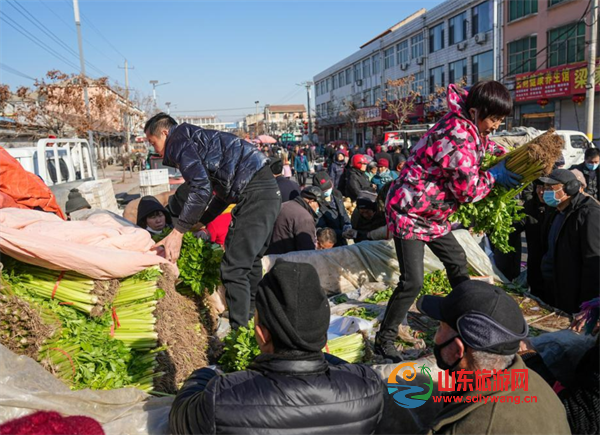 屏幕截图 2025-01-19 231924.png