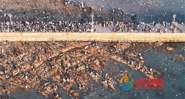 屏幕截图 2025-01-21 181621.png