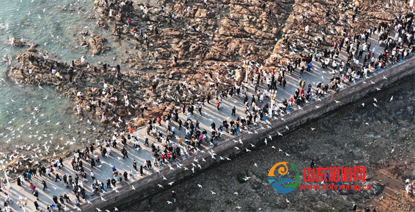 屏幕截图 2025-01-21 181643.png