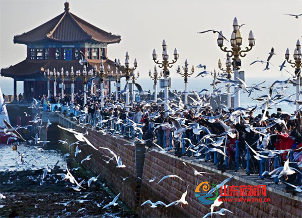 屏幕截图 2025-01-24 190832.png