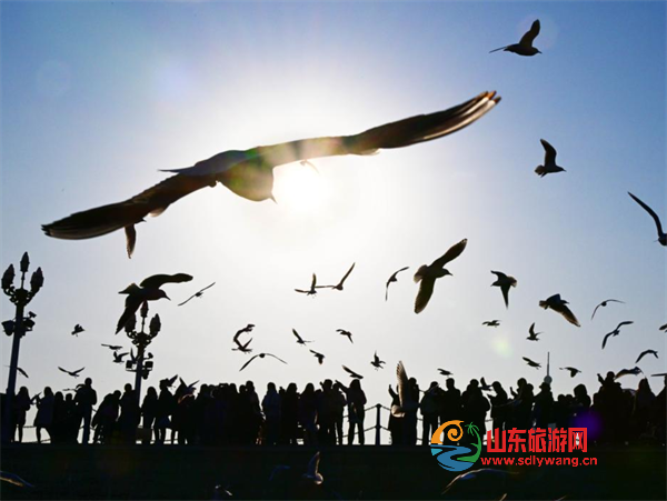 屏幕截图 2025-01-24 190905.png