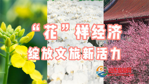 202502198d0202f8366243169ce81d38ecd67416_2de5985acc224813936a4d696ce69e51.png