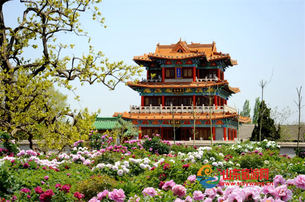 下载 (3).png