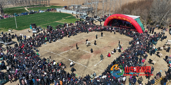 屏幕截图 2025-03-18 154134.png