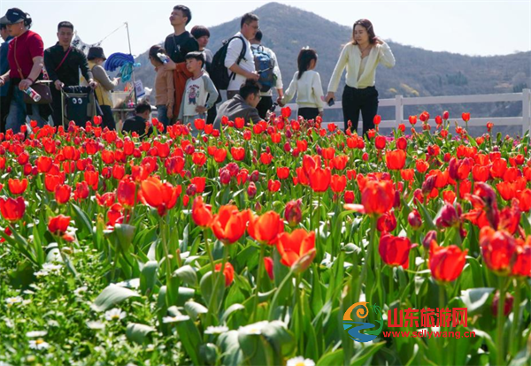 屏幕截图 2025-03-25 143106.png